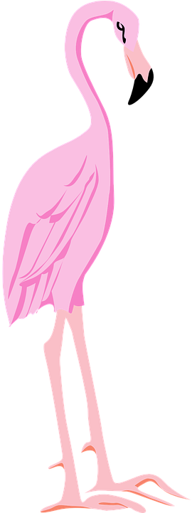 Flamingo Clipart Wings - Flamenco Animal Png (360x720)