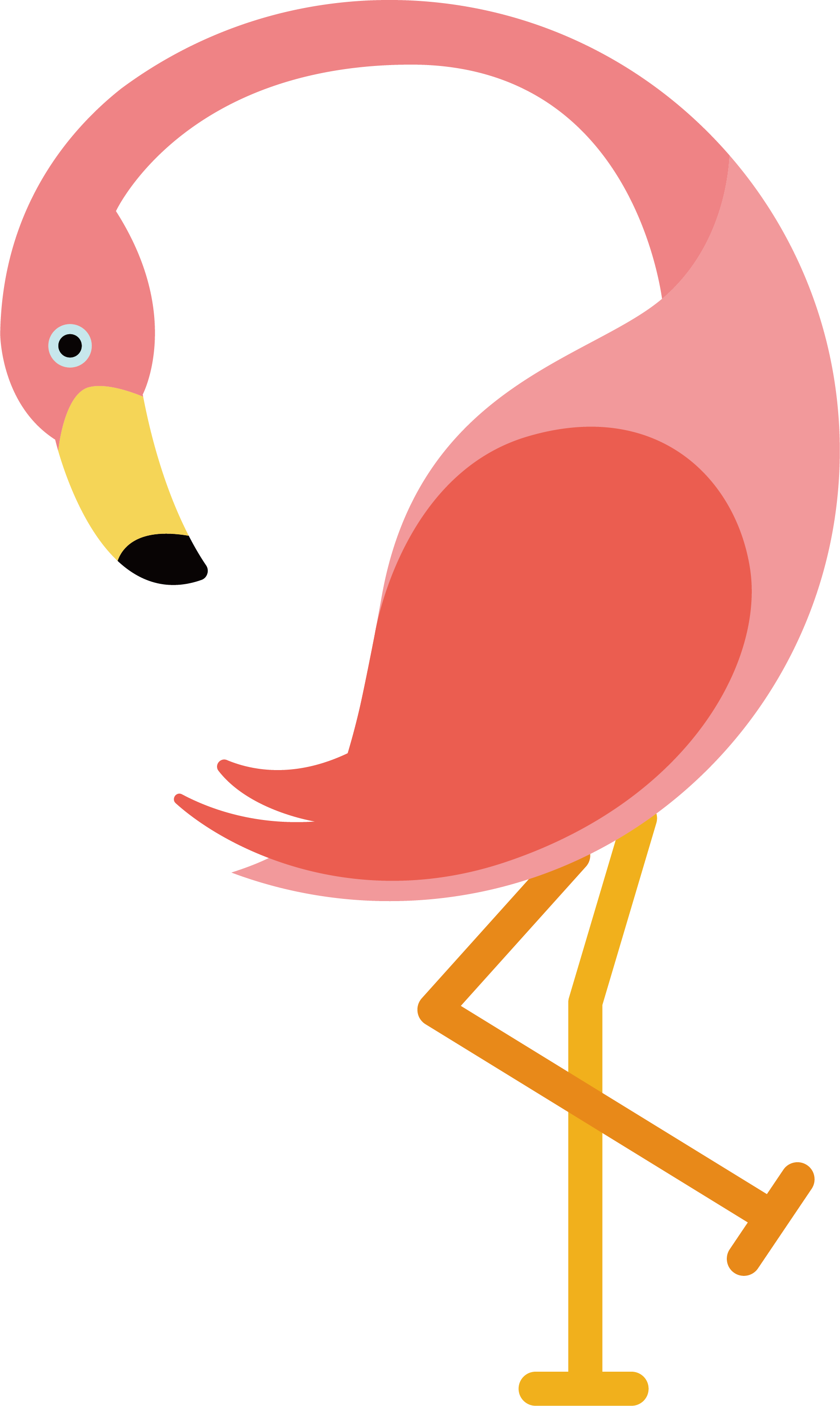 Flamingo Icon - Pink Flamingos - Flamingo Png (1885x3155)