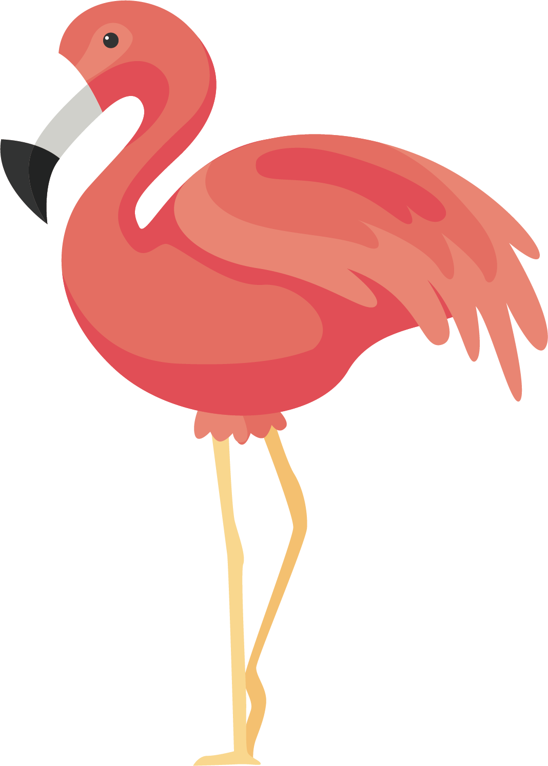 Flamingos Bird Icon - Flamingo Png (1068x1492)