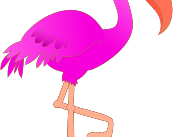 Flamingo Clipart Safari Bird - Flamingo Png (640x480)