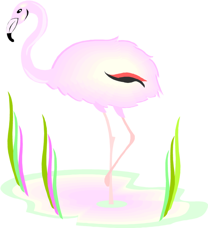Free Flamingo Clipart - Clip Art (702x750)