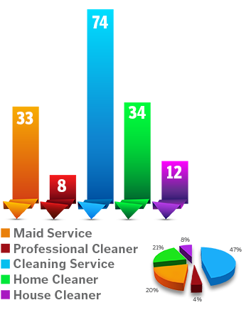 Volume Of Searches For Each Phrase - Cleaning (366x435)