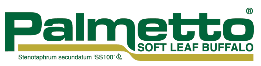 Specialized Compounding Palmetto Family Pharmacy - Palmetto Grass (852x216)