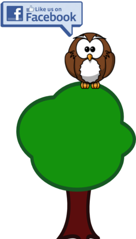 Ask Us About It At Your Next Visit - Find Us On Facebook Icon (321x487)
