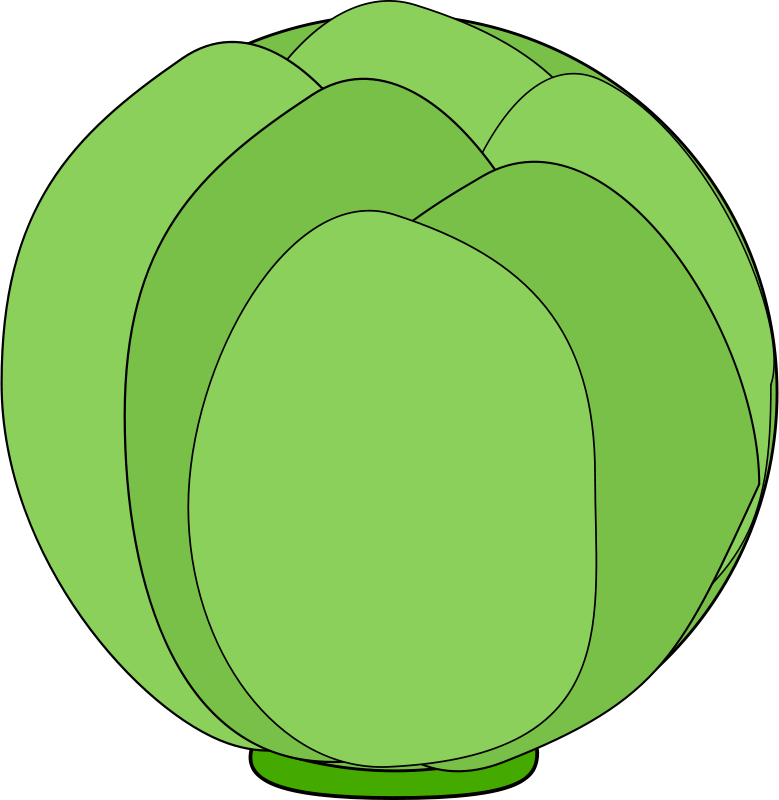 Free Cabbage - Cabbage Clip Art (779x800)