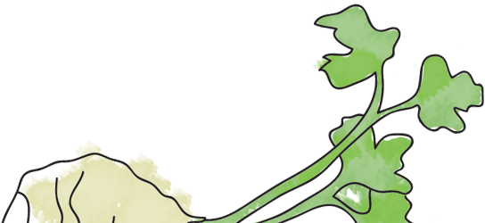 Cream Of Brussels Sprouts Soup With Chervil, Fried - Cream Of Brussels Sprouts Soup With Chervil, Fried (1280x249)