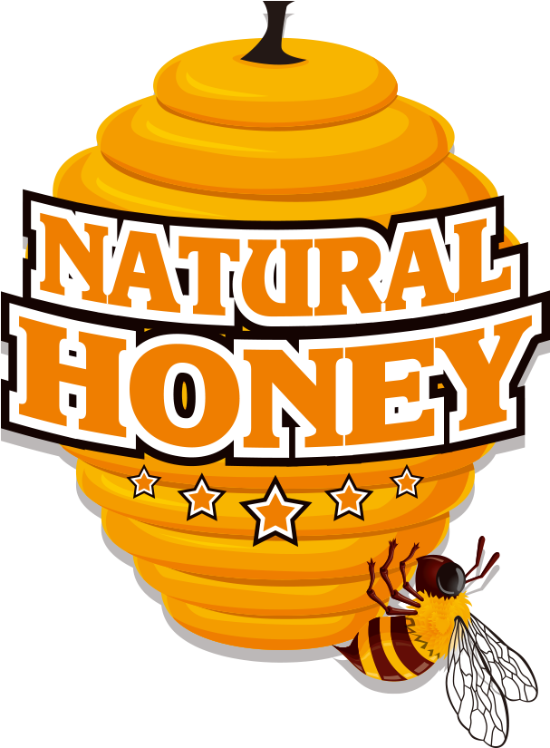 Bee Euclidean Vector Honeycomb - Honey Bee (899x923)