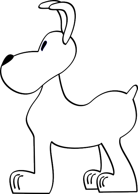 Funny Dog, Animal, Funny - Animal (455x640)