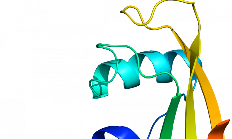Study Gives Clues To Causes Of Motor Neurone Disease - Parkinson Disease Dementia (800x480)