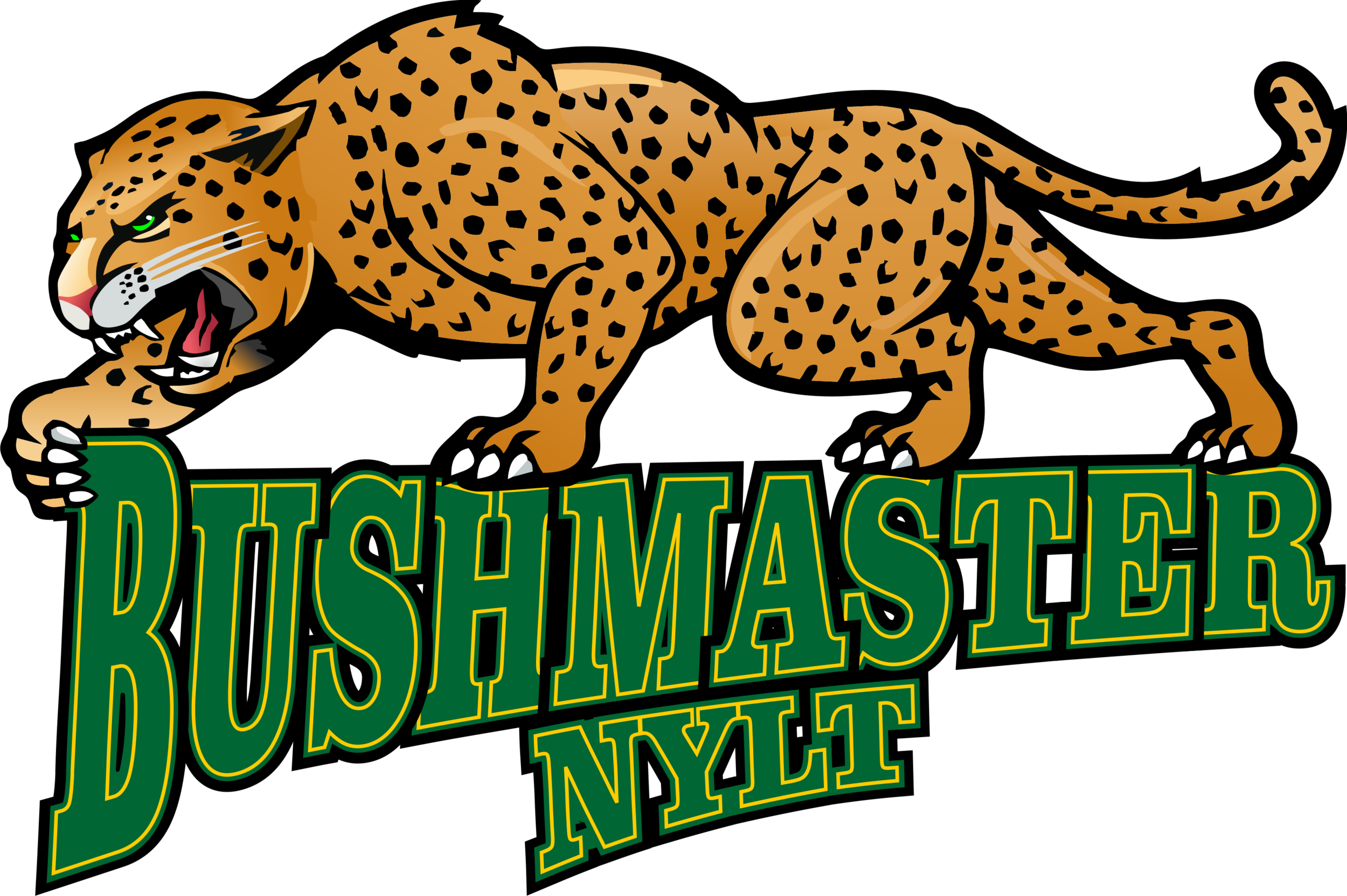 National Youth Leadership Training - National Youth Leadership Training (2500x1664)