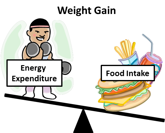 A Study Of Ucp1 In Brown Fat Thermogenesisto Target - Energy Intake Energy Expenditure (545x439)