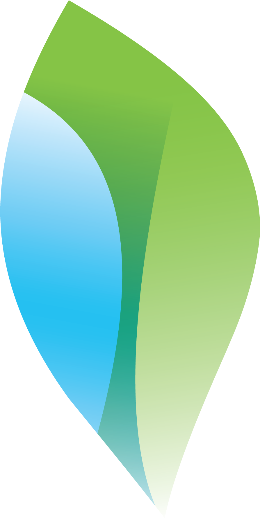 Fresh Vine Leaf Mark - Membership Software (903x1783)