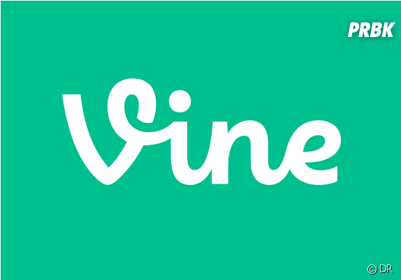 Vine De Retour Une V2 En Préparation - Vine Logo (624x600)