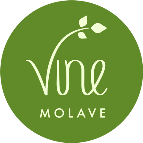 The Rustic, Elegant Lodge Is Now Becoming The Top Homestay - Cafe Bazaar (500x500)