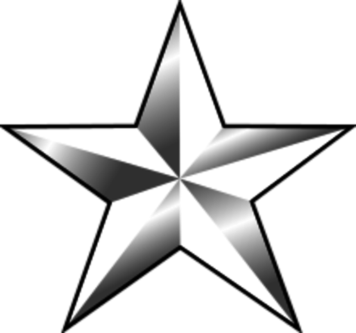 General Lee - 1 Star General Rank (513x480)