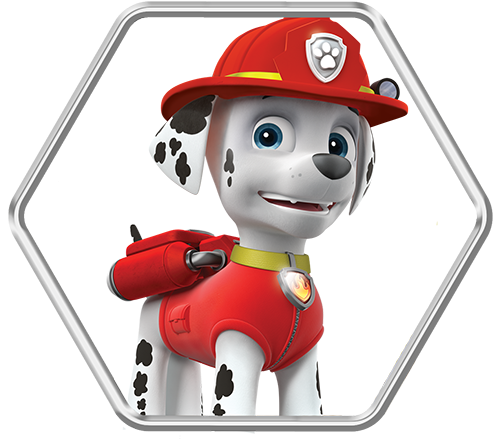 03, February 10, 2017 - Caes Da Patrulha Pata (500x445)