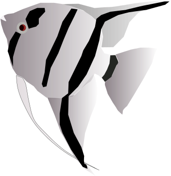 File - Angelfish - Svg - Transparent Angel Fishes (372x381)