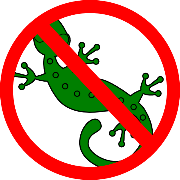 No Lizards Clip Art At Clker - No Lizard Png (600x600)