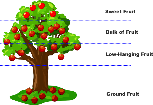 Apple Tree - Lean Low Hanging Fruit (600x411)