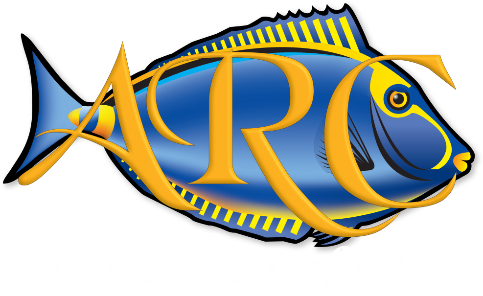 Atlanta Reef Club - Atlanta Reef (1000x640)