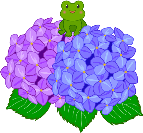 For Download Free Image - French Hydrangea (540x540)