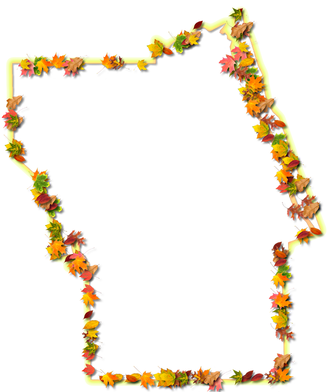 A Yellow And Orange Outline Map Of Flagler With Fall - Map (653x768)