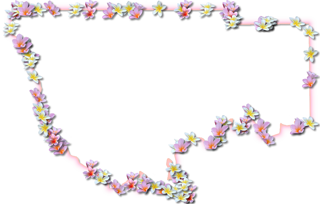 A Map Of Wakulla With A Coral Color Glow Border And - Picture Frame (1024x654)