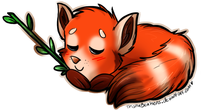 Pin Red Panda Clip Art - Cartoon (800x593)