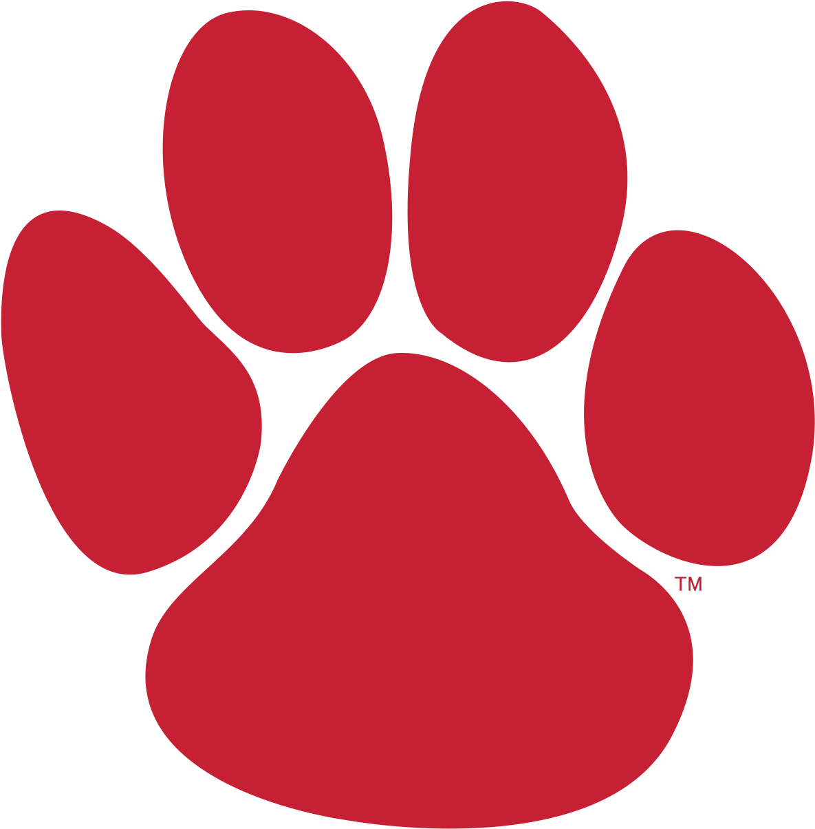 Mt Si Wildcats Logo (1218x1257)