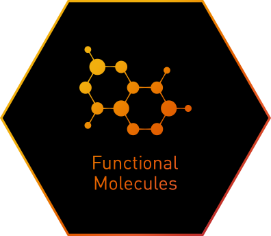 Hex Horus Ltd (396x344)