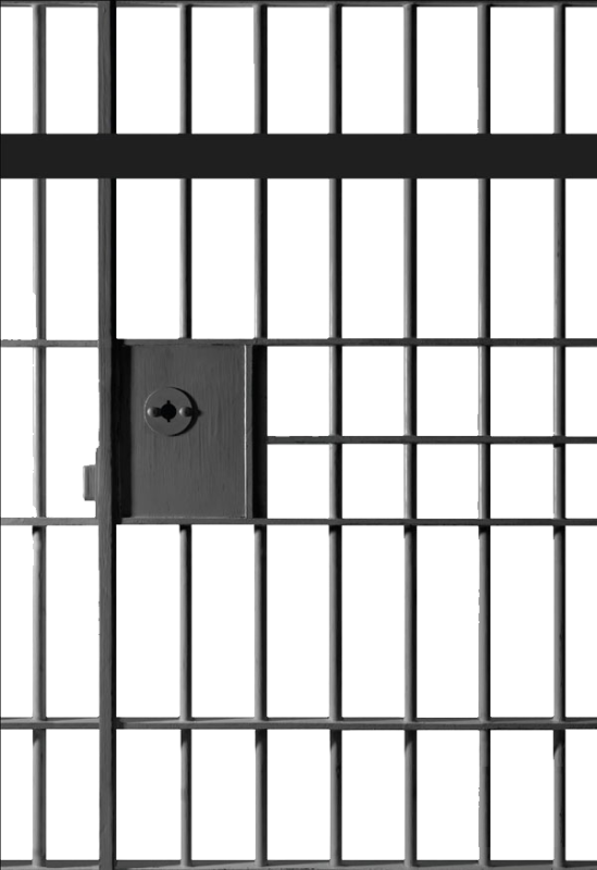 Pin Jail Bars Clipart - Jail Cell Transparent Background (549x800)