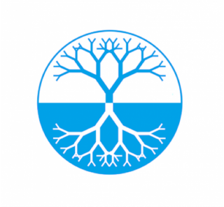 Bluetree Network - Blue Tree (480x327)
