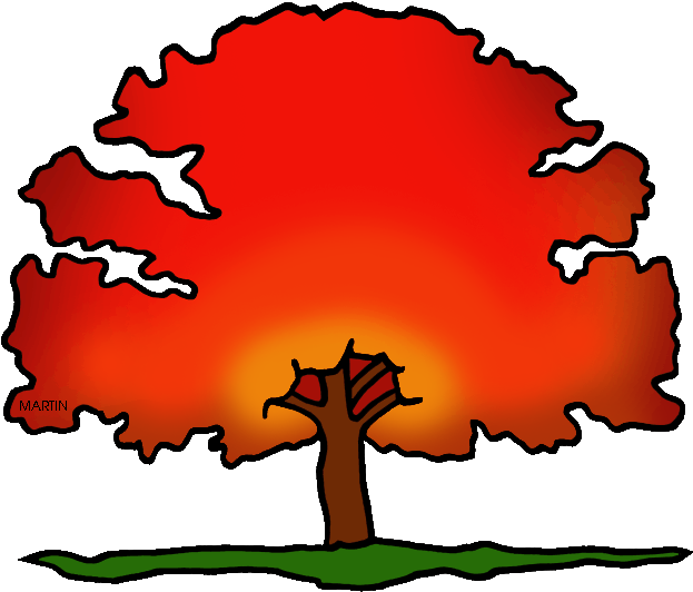 New Jersey State Tree - New Jersey's State Tree (648x576)