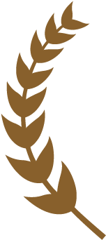 Global Poetry Contest World Brotherhood And Peace Through - Doxa Documentary Film Festival (328x492)