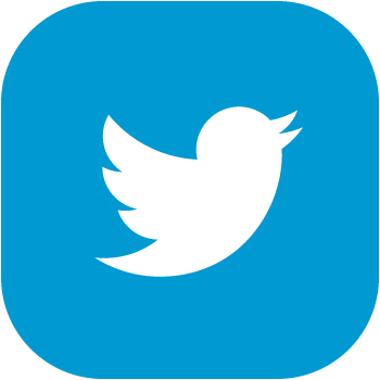 Follow Us - Twitter Logo For Html (350x350)