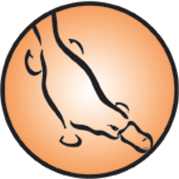 The Template Below, The Platypus, Is The Very Oldest - Platypus (600x600)