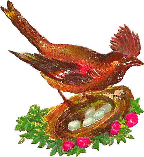 Victorian Clip Art Bird Nests - Http/2 (720x728)