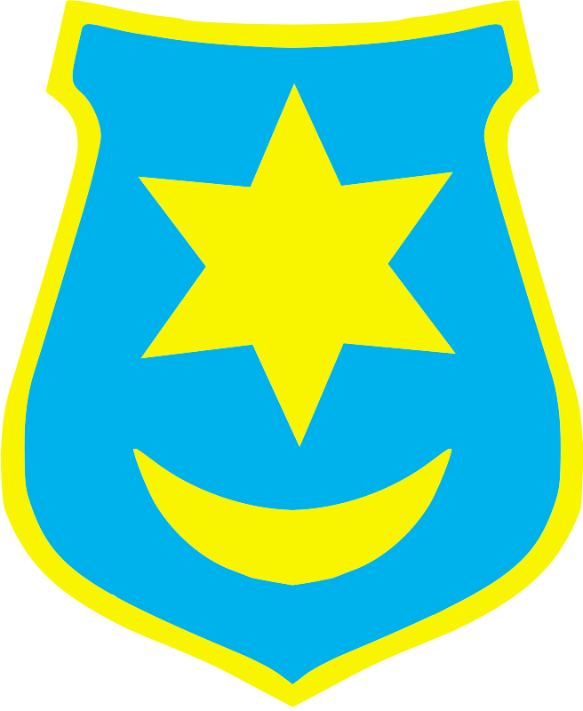 Emblem, Coat Of Arms, Poland, Star, Moon - Coat Of Arms Star (738x900)
