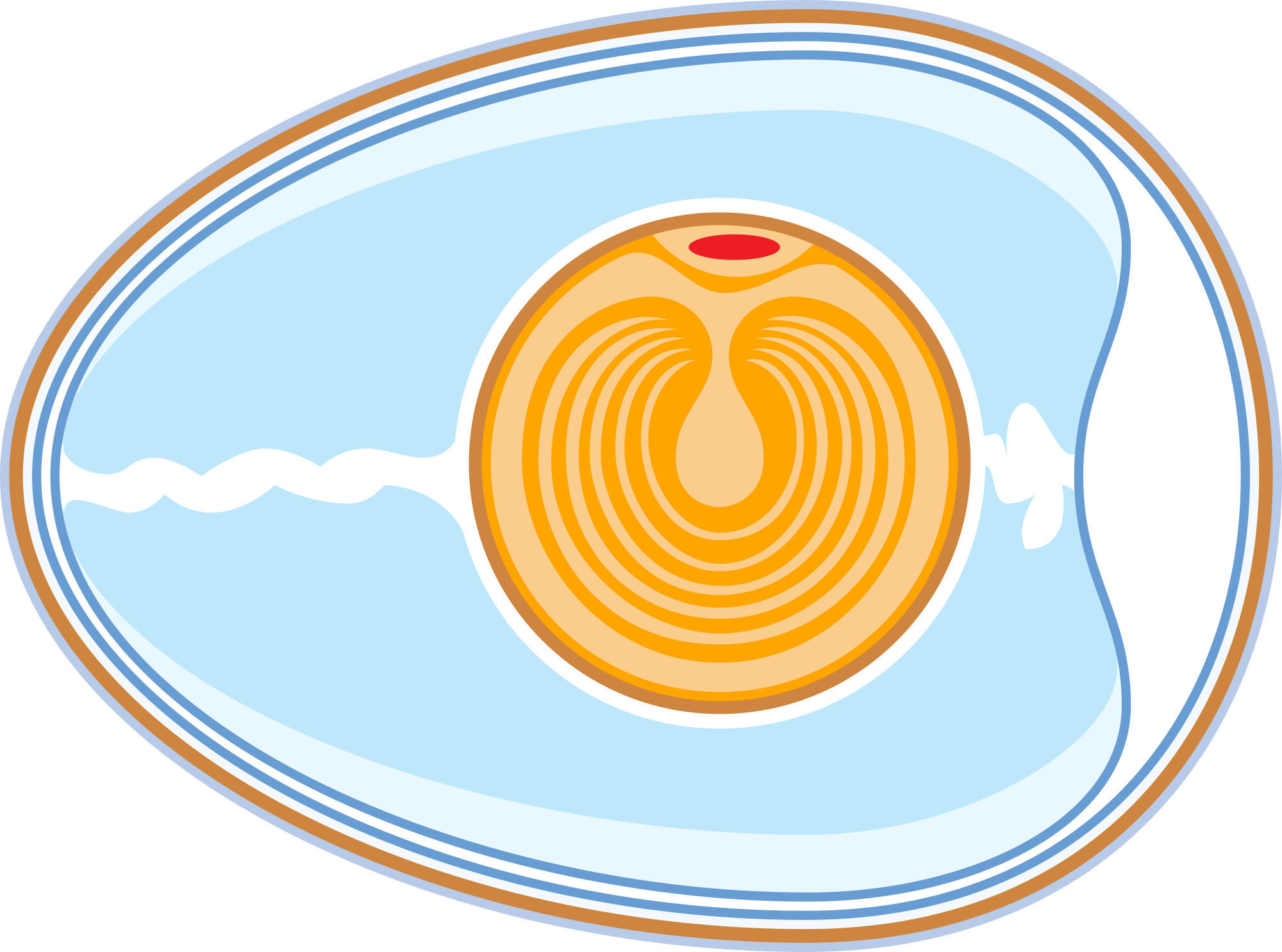 Work Rotation Cliparts - Air Cell Of An Egg (2000x1486)