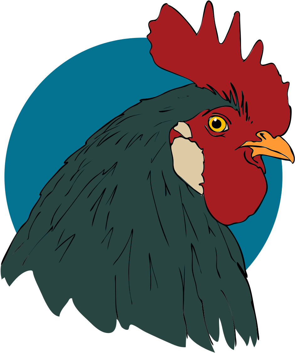 Rooster Closeup - Rooster Public Domain (1000x1164)