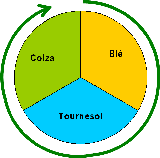 Image Result For La Rotation Des Cultures Agricoles - 5th Special Forces Vietnam Tile Coaster (1001x681)