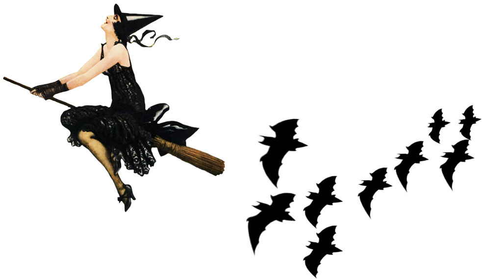 Vintage Witch Followed By Black Bats - Witch On Broomstick Png (1080x663)
