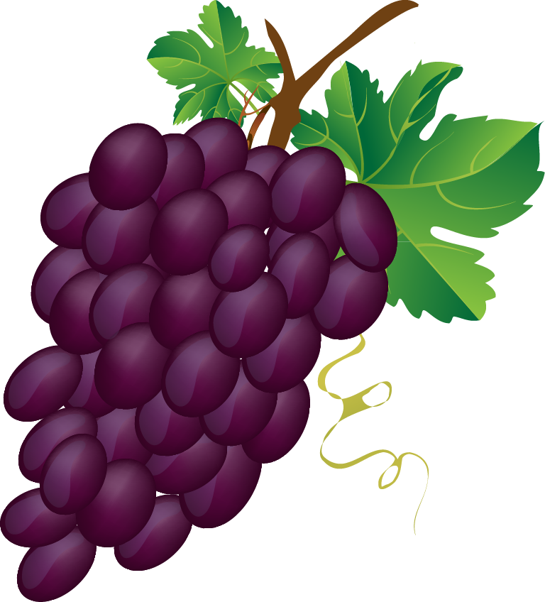 28 Collection Of Bunch Of Grapes Clipart - Grapes Images Clip Art (768x848)