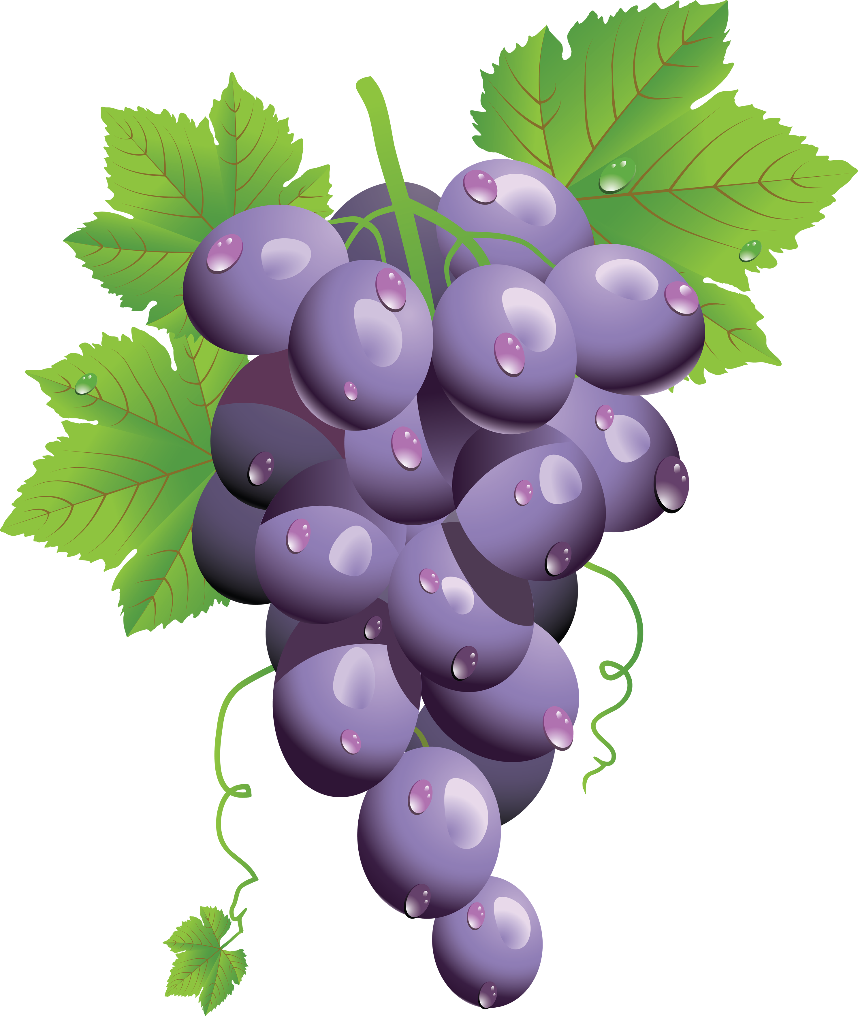 Grape Clipart Transparent Background - Sicohome Baby Play Matthineasy To Clean And Carrysecurity (2976x3526)