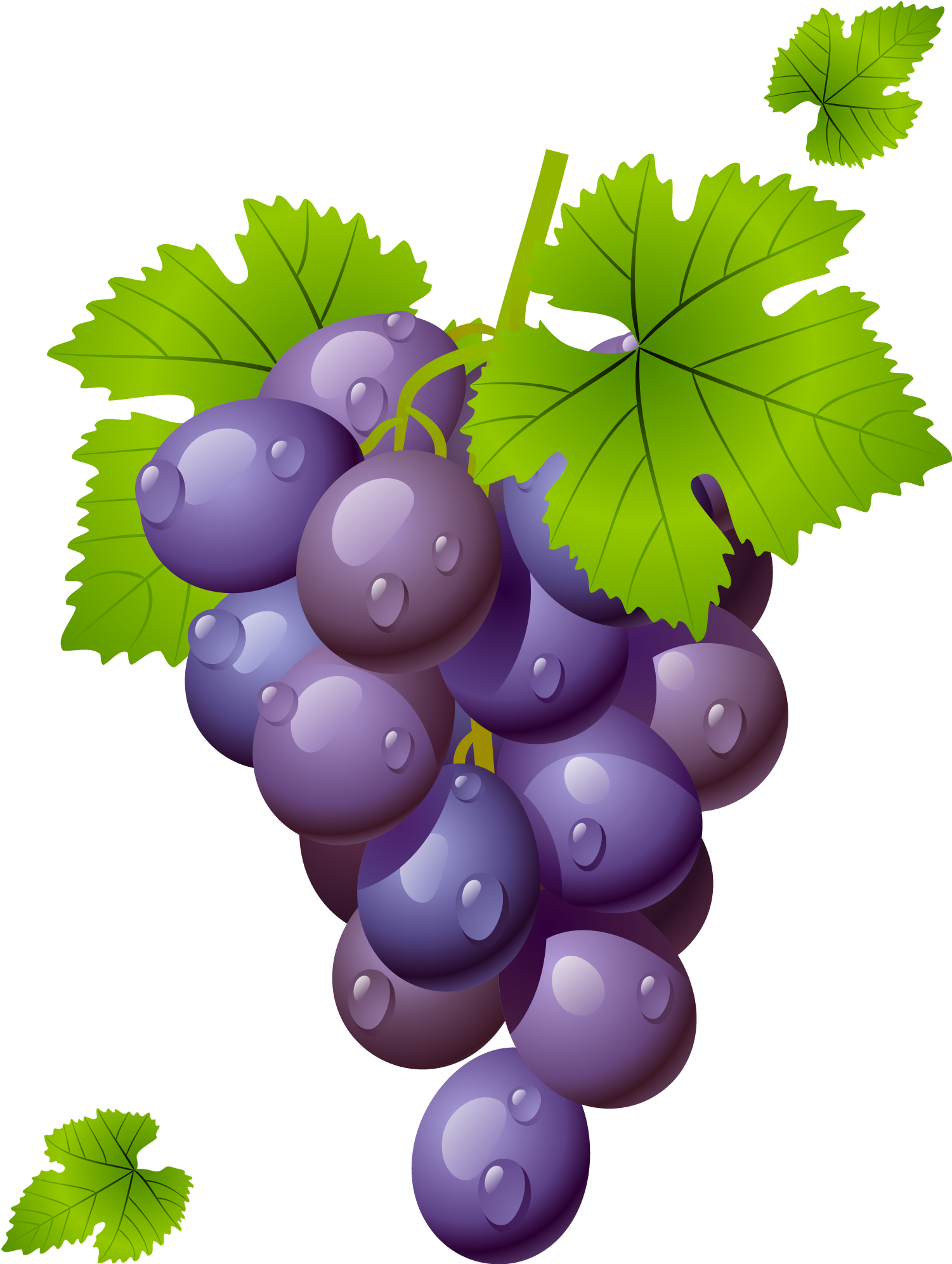 Grapes Grape Clipart Grapeclipart Fruit Clip Art Photo - Grapes Clipart Png (1531x2047)