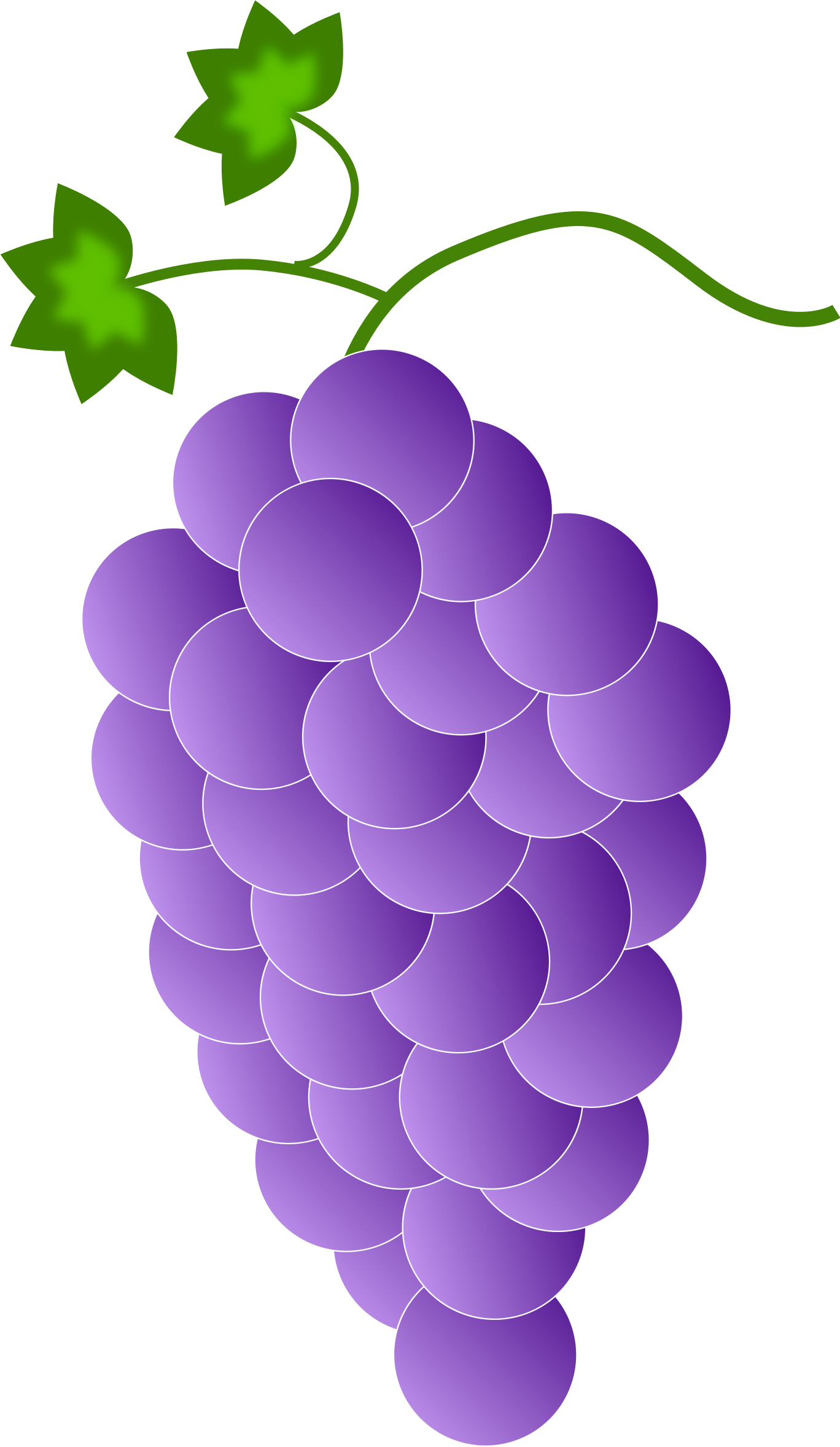 Clip Arts Related To - Purple Grape's (1368x2356)