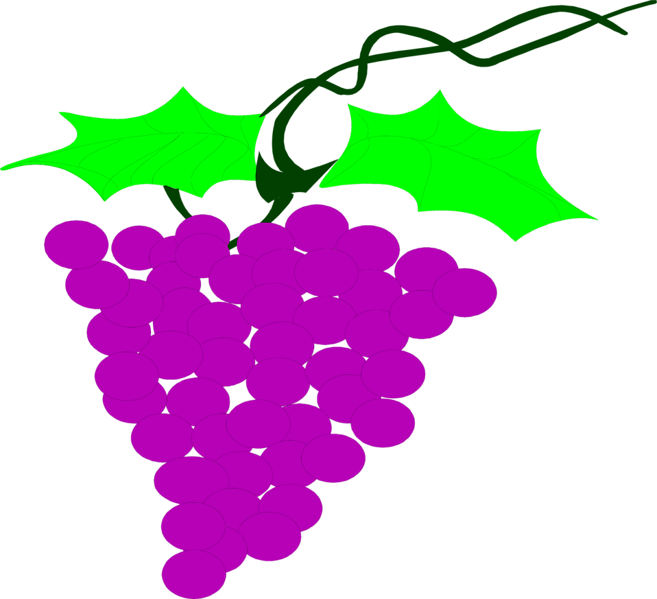 Illustration Of A Bunch Of Grapes - Uvas Didacticas (958x873)