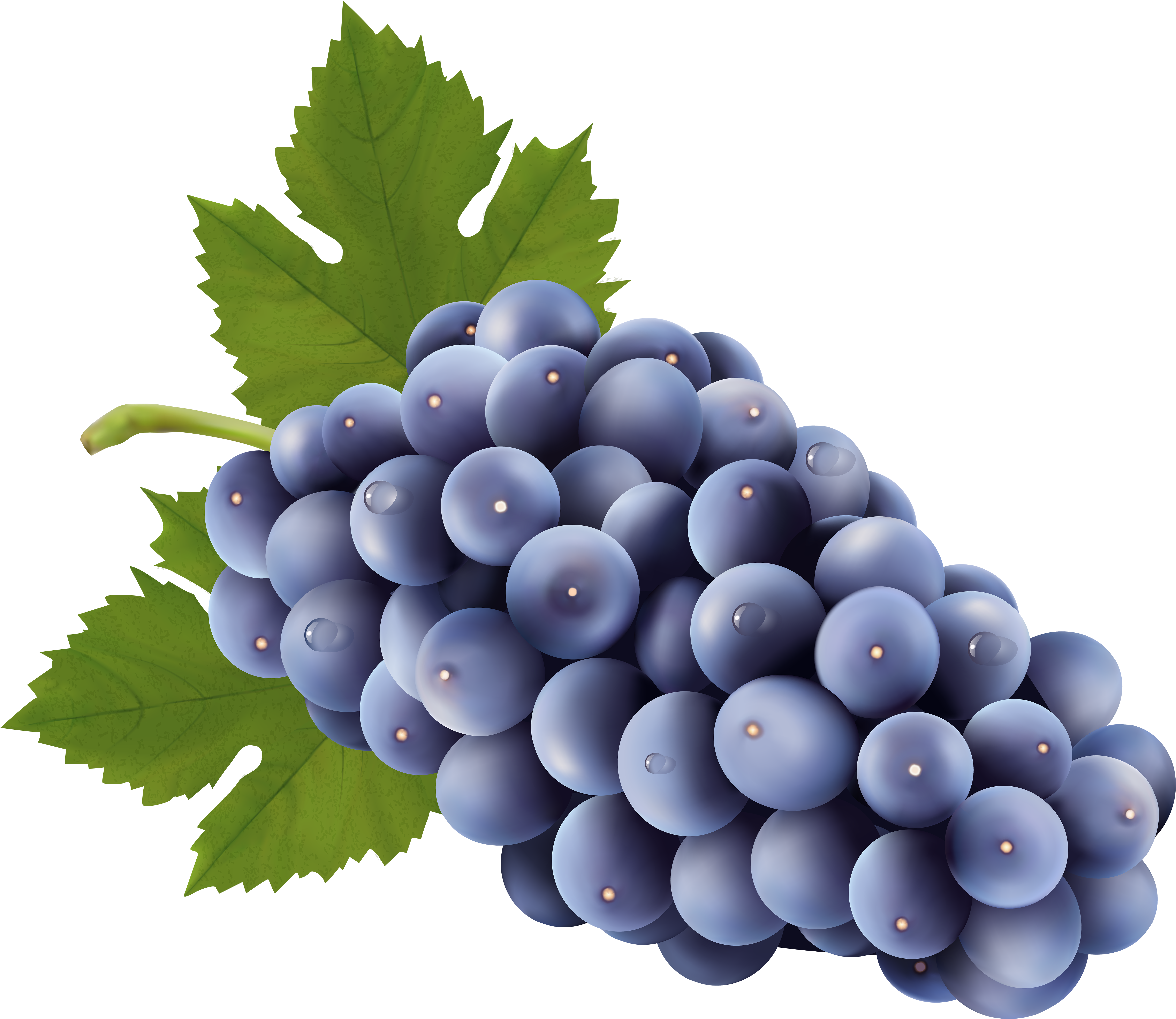 Grapes Free Png Clip Art Image - Grapes Clipart Png (6000x5064)