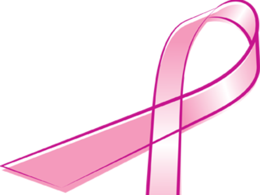 Area Volleyball Teams Compete In Dig Pink Game - Area Volleyball Teams Compete In Dig Pink Game (534x401)