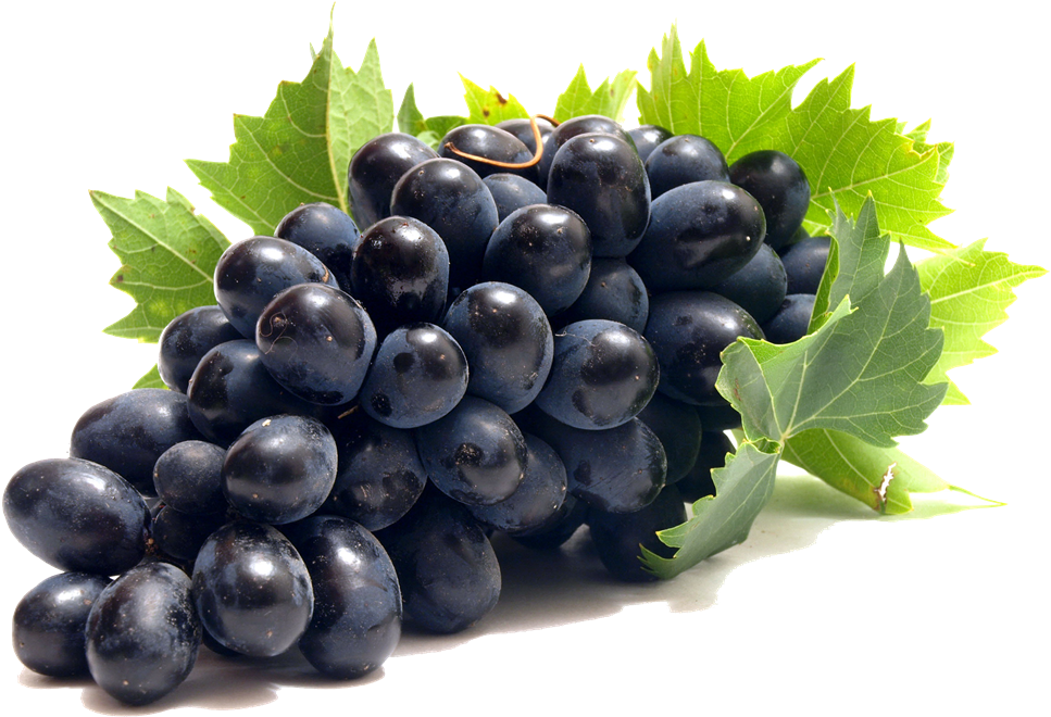 Hq Grapes Wallpapers - Grape Png (1000x667)